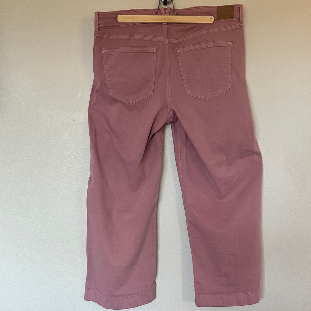 American Eagle Wide-Leg Pants in Mauve